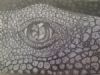 "Lizard's Eye"
