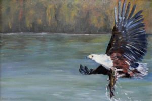 "Fish Eagle"