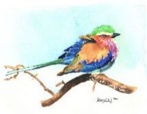 "Lilac Breasted Roller"