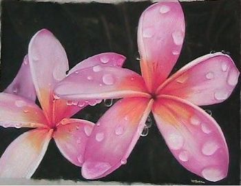 "Frangipani"