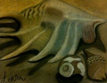 "Shell Memories"