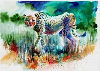 "Cheetah in the Bush"