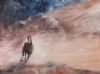 "Desert Fury"
