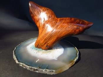 "Whale Tail"