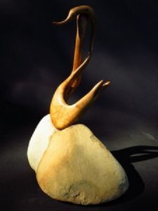 "Swan Song"