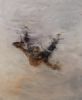 "Free Falling"
