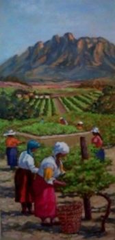 "Wellington Mountains"