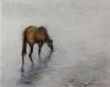 "The Thirsty Stallion"