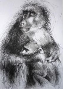 "Baboon"