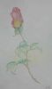 "New Life"