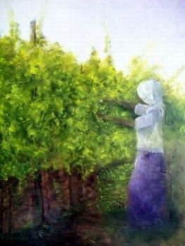"Harvesting our Grapes"