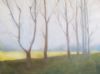 "Misty Morning"