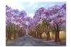 "Jacarandas"