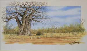 "Baobabs of the North"