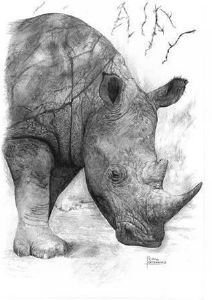 "Rhino"