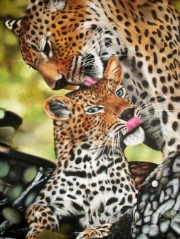 "Leopard Mom and Cub"