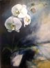 "White Orchids"