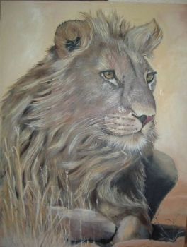 "Lion (male)"