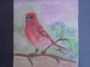 "Red Bird"