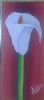 "Arum Lily"