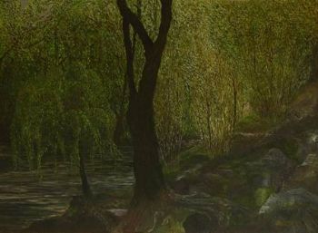 "Stream in a Forest"