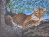 "Leopard on the Bough"