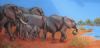 "The Herd on the Way to Drink"