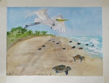 "13 Egret watches over baby turtles"