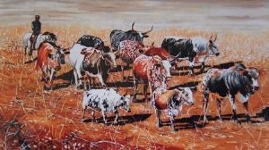 "Nguni Herder"