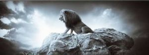 "Lion Sitting on Rock"