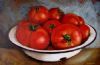 "Bowl of Tomatoes"