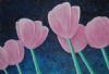 "Pink Tulips"