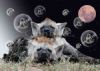 "Blue Hyenas"