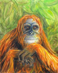 "Contemplation"