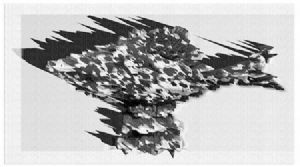 "Static Fish"