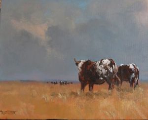 "Nguni 4"