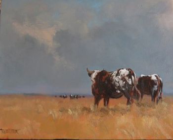 "Nguni 4"