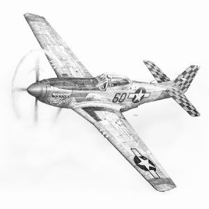 "P-51 Mustang 