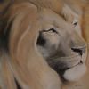 "Lion"