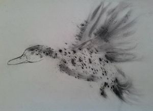 "In Flight"