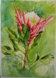 "Protea"