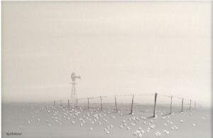 "Landscape Series 6"