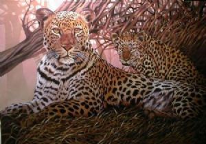 "Leopard with Cub"