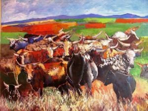 "Nguni's"