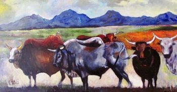 "Nguni Cows"