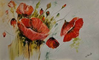 "poppy flowers"