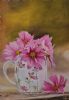 "Cosmos Flower"