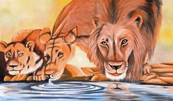 "Thirsty Lions"