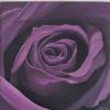 "Rose Purple"
