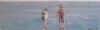 "Reflections_1"